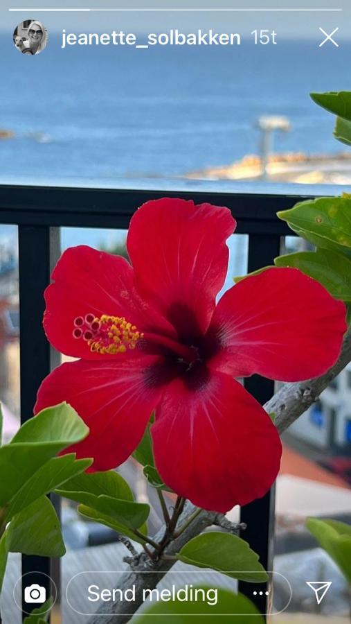 Candia Hotel Chania  Luaran gambar
